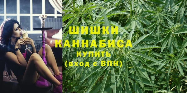 крисы Аркадак